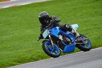 Advanced Group Blue Bikes